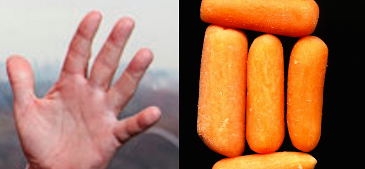 Carrots, or fingers? You decide.