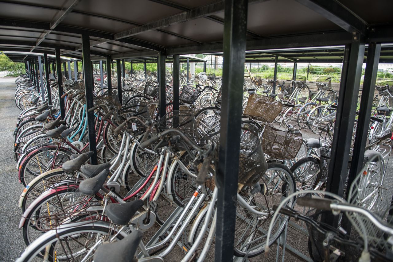 Abandoned bikes left behind.