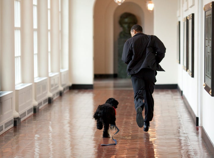 In this handout image released by the White House on April 13, 2009, Obama runs down a corridor with the family's new dog, Bo.