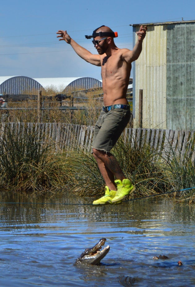 Gulp Daredevil Walks Slackline Over Hungry Alligators Huffpost