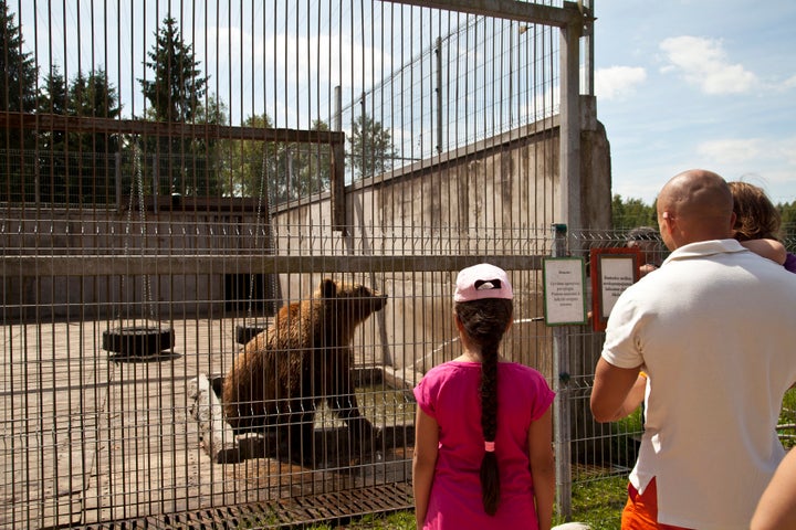 This bear symbolized the Soviet Union during WWII. There are three bears living at the park.