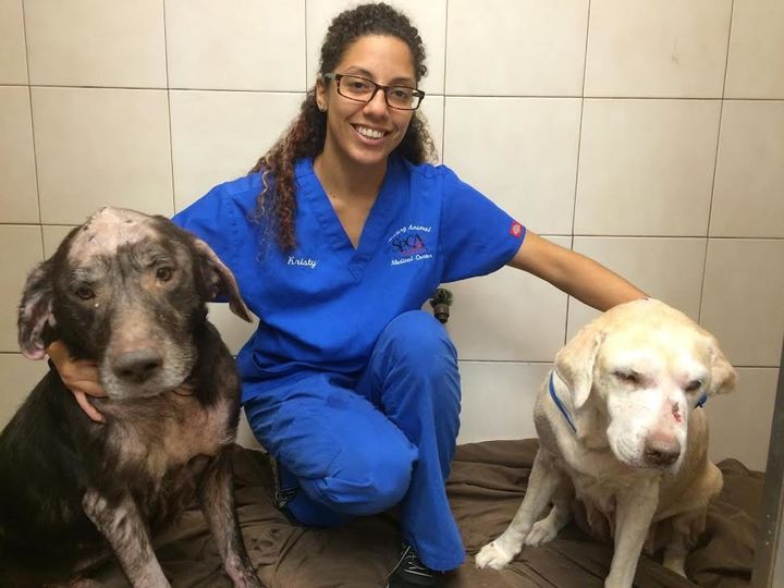 Tupac (left) and Bella with veterinary technician Kristy Gomez.
