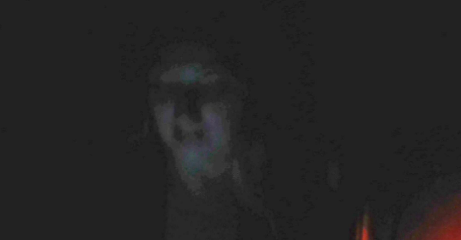 Buxom British Ghost May Just Be A Bust HuffPost