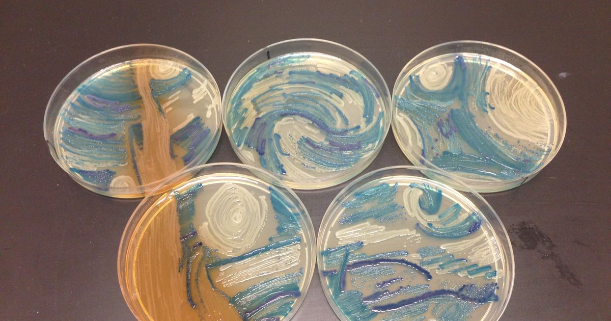 A Microbiologist Recreated 'Starry Night' With Bacteria In A Petri Dish