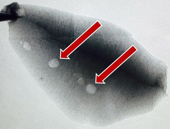 Carbon found in a piece of zircon indicates life on Earth began 300 million years earlier than previously thought.