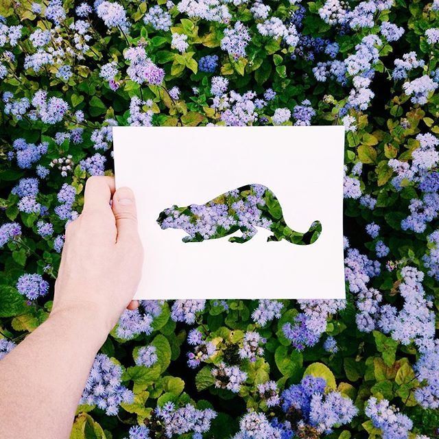 Russian Artist Uses Beautiful Backdrops Of Nature To Fill Paper Cut-Outs Of  Animals
