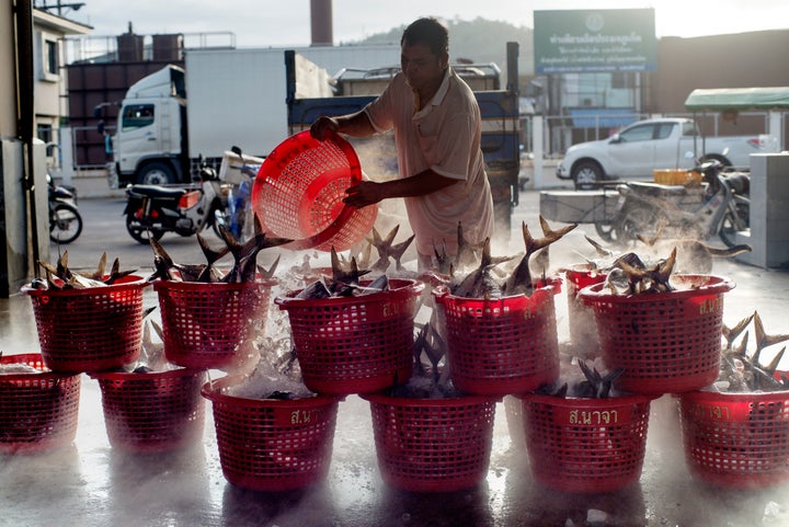 PHUKET, THAILAND - 2014/08/08: A migrant worker unloading fish on the mainland in Phuket. Trafficking and modern slavery are
