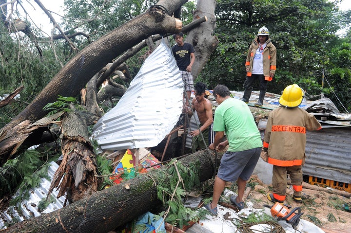 Rescue workers clear a fallen tree that killed a 14-year-old boy in Manila. Typhoon Koppu has left at least 58 people de