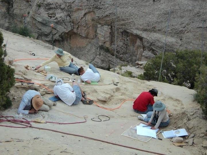 Paleontologists work on a dig site in Utah that has already revealed eight new animals.