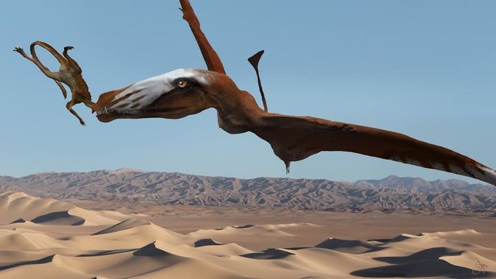 Paleontologists in Utah discovered a new species of pterosaur, which looked a lot like this flying behemoth.