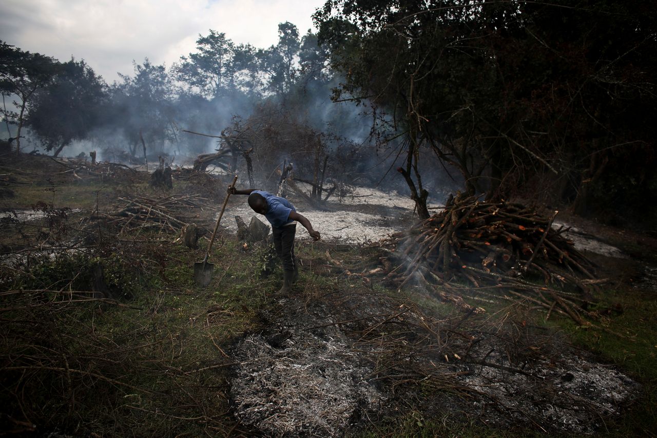 A Kenyan man chops and burns trees in Narok, Kenya, Aug. 17, 2015. Deforestation is one of the many problems associated with open fires and inefficient charcoal stoves.