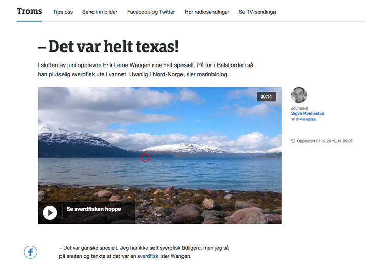 A screenshot of a story about a swordfish spotted in Norway, using the phrase "Der var helt texas."