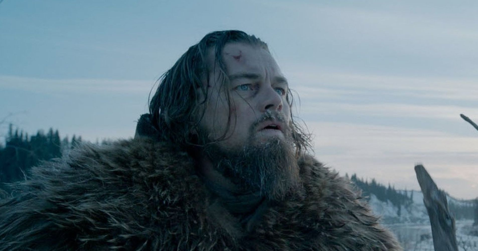 Leonardo DiCaprio Did Some Pretty Nasty Stuff For 'The Revenant' | HuffPost