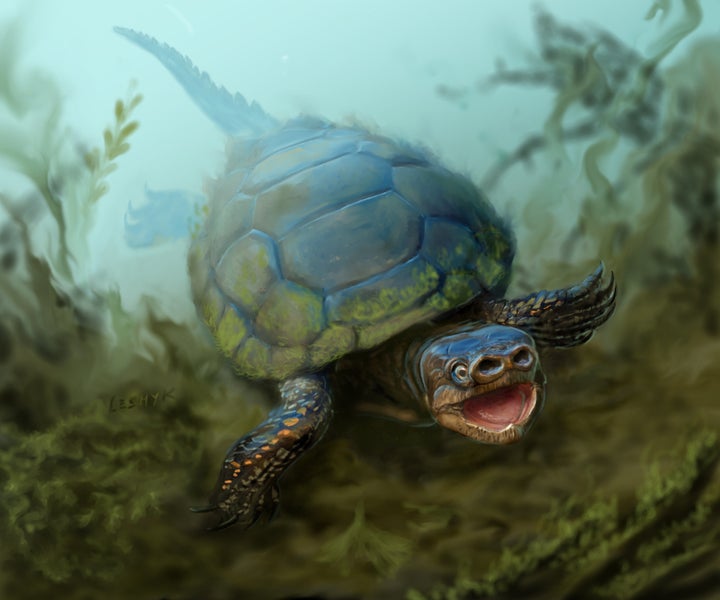 An artist’s depiction of the turtle<i> Arvinachelys goldeni. </i>Researchers say the creature is unlike