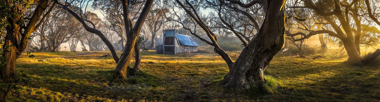 "Foggy Sunrise at Wallaces Hut"