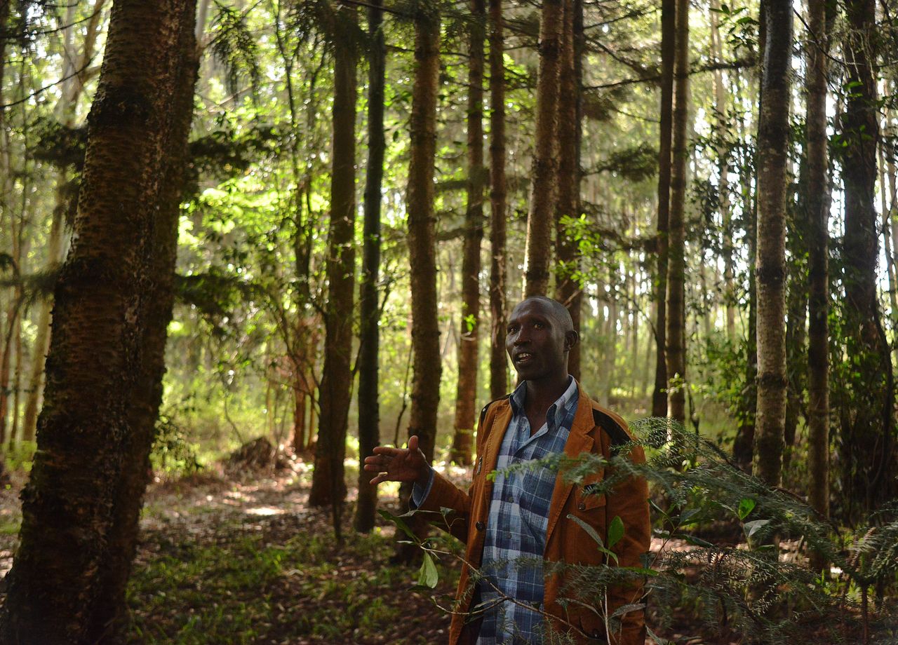 Elias Kimaiyo says the Kenya Forest Service has burned down his home repeatedly as part of a push to evict him and other members of the Senger, an indigenous tribe, from the forests where they have lived for generations. "Most of the time," Kimaiyo says, "I just live in fear."