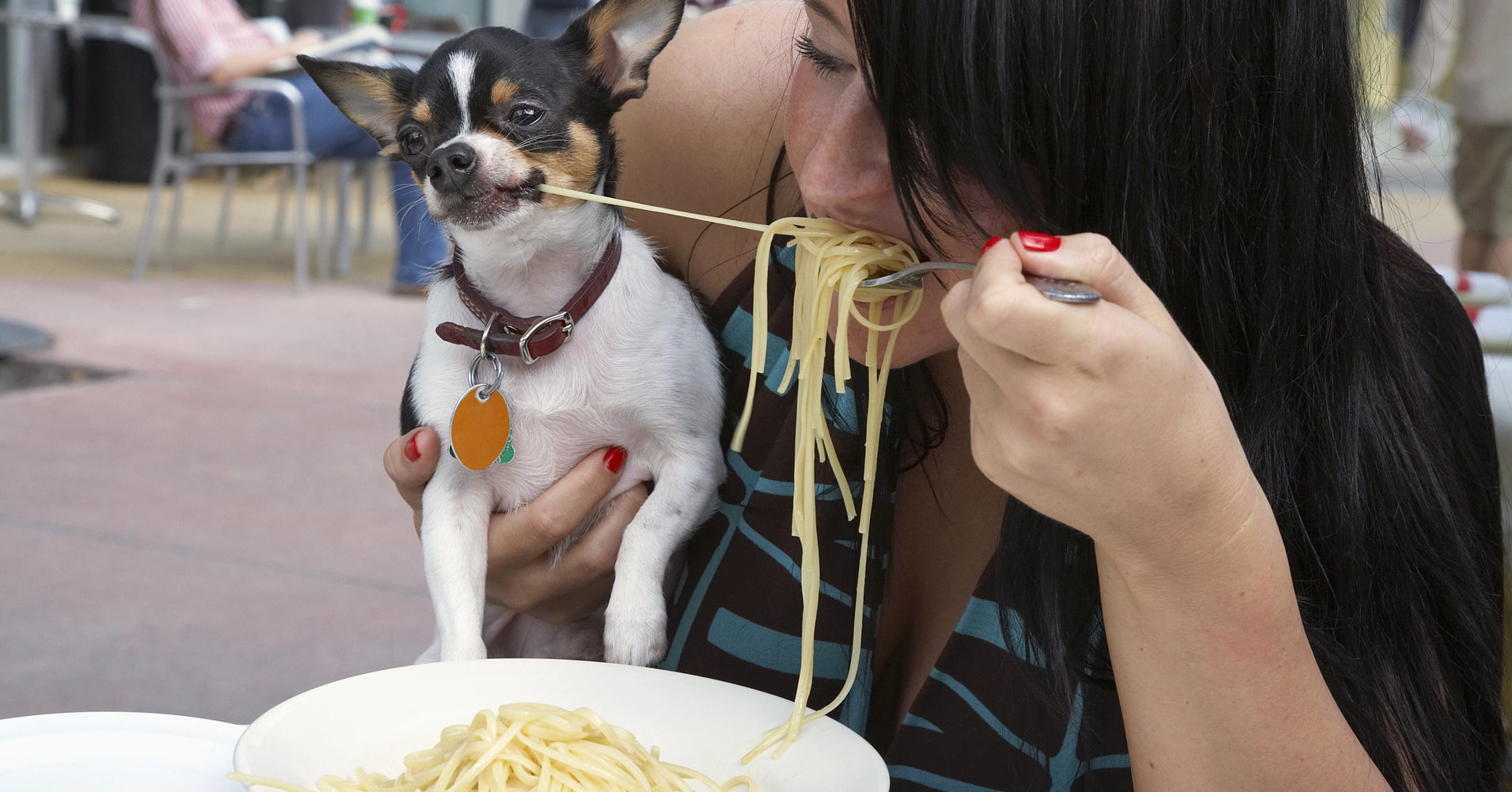 Dogs Can Now Legally Dine At New York Restaurants HuffPost