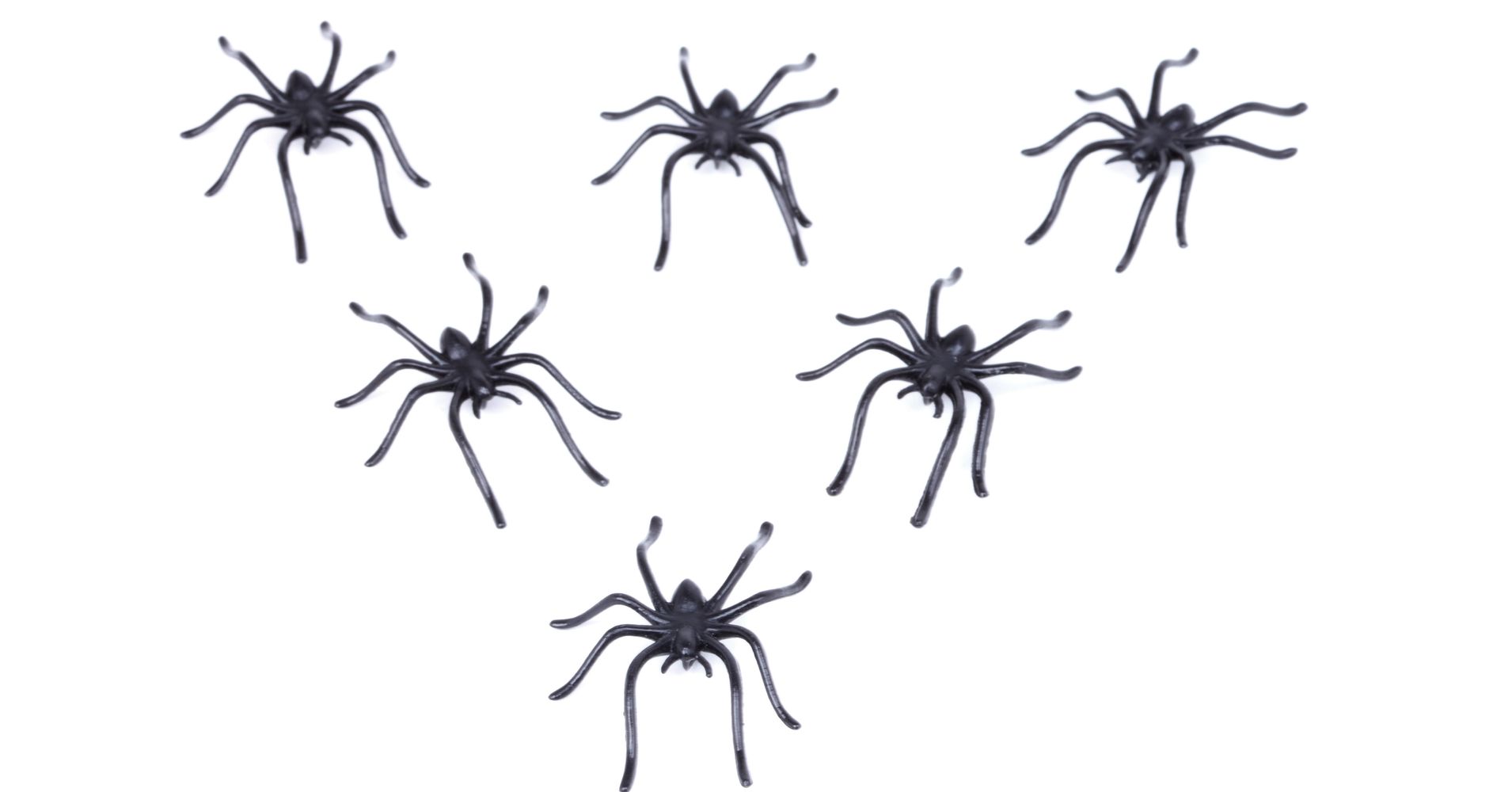 Assistant Prosecutor Suspended For Pulling Gun On Fake Spiders Huffpost 