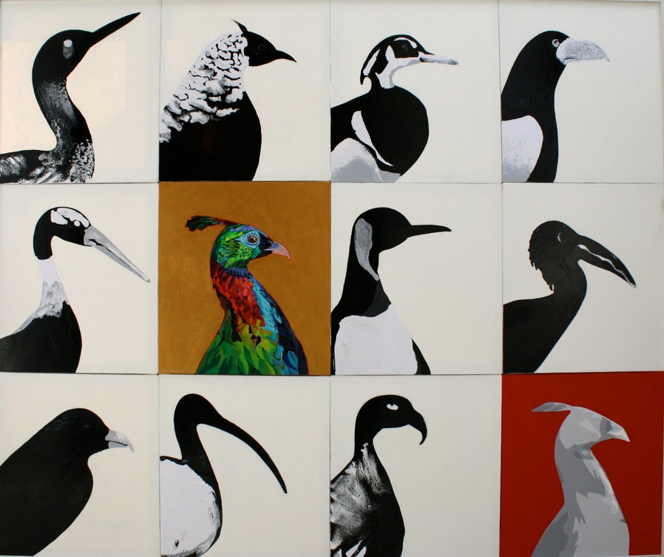 Once a political artist who dealt in the imagery of war, Arjumand now focuses on subjects of the natural world.