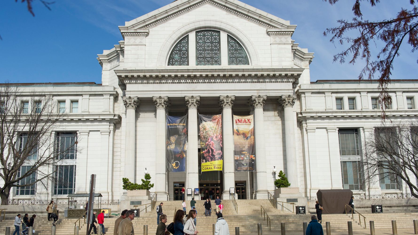 Smithsonian national museum of natural history. Национальный музей Вашингтона. Музей естественной истории Вашингтон. Смитсоновский национальный музей естествознания. Смитсоновский музей в Вашингтоне.