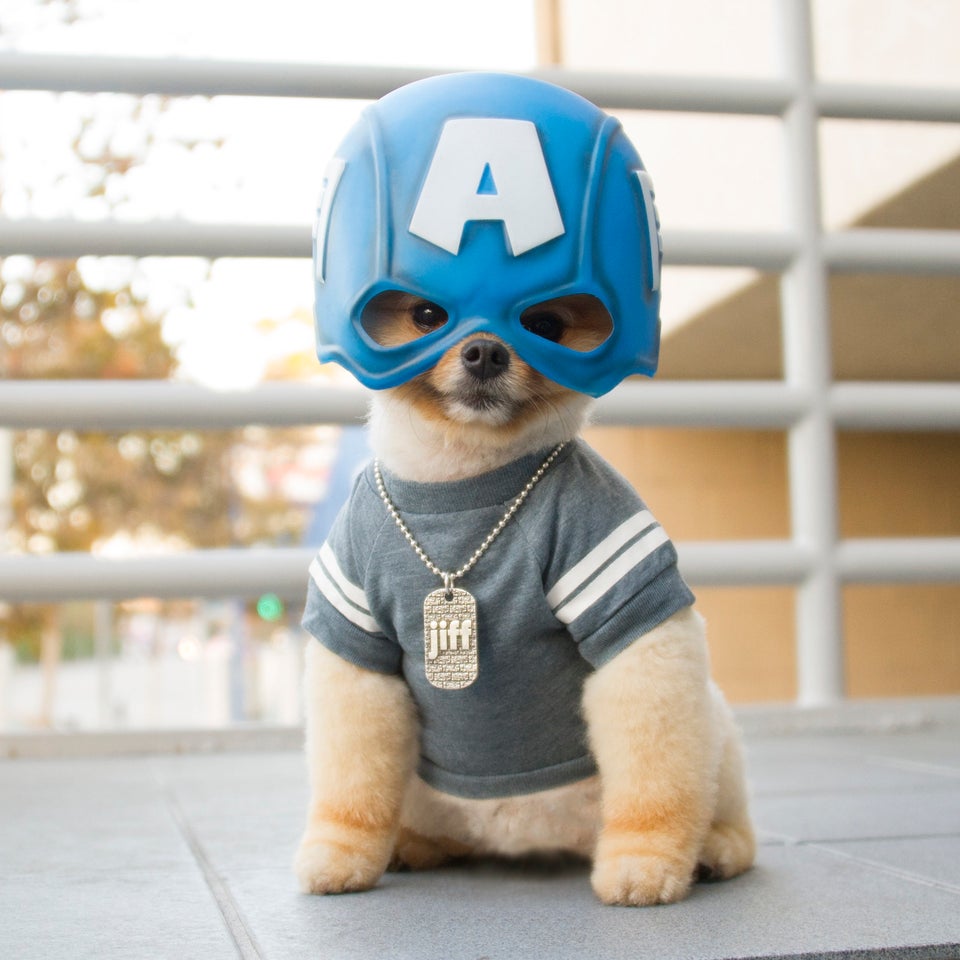 Captain America Jiff