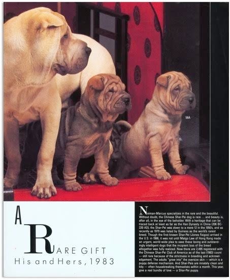 His And Hers Shar-Pei puppies, $2,000 each (1983)