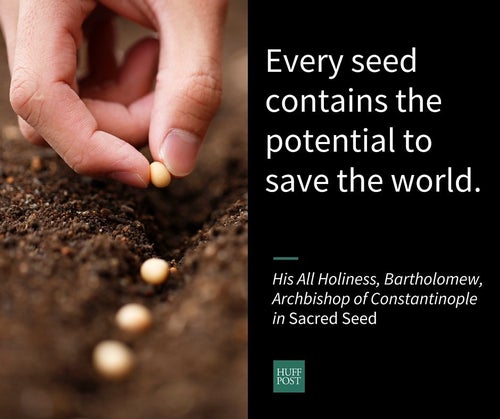 Seeds Are A Sacred Metaphor For Life And Renewal, Say These Faiths |  HuffPost Religion
