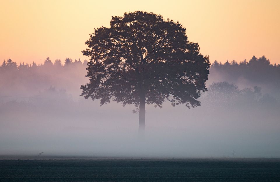 Photos Of The Eerie Fog That Left European Landmarks Unrecognizable 