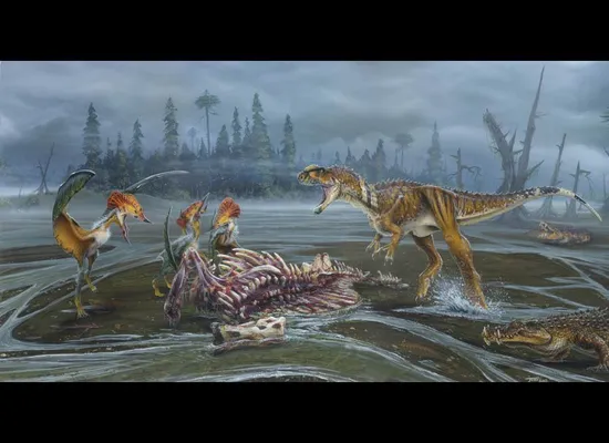 Dinosaur Extinction & Chicxulub Asteroid Impact Most Likely Coincided,  Study Says | HuffPost Impact