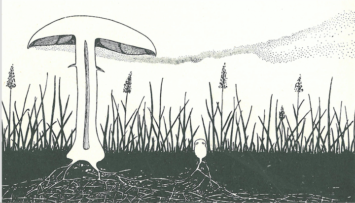 Cloud of spores dispersed from the horse mushroom illustrated by A. H. R. Buller, the "Einstein of Mycology," in 1909.