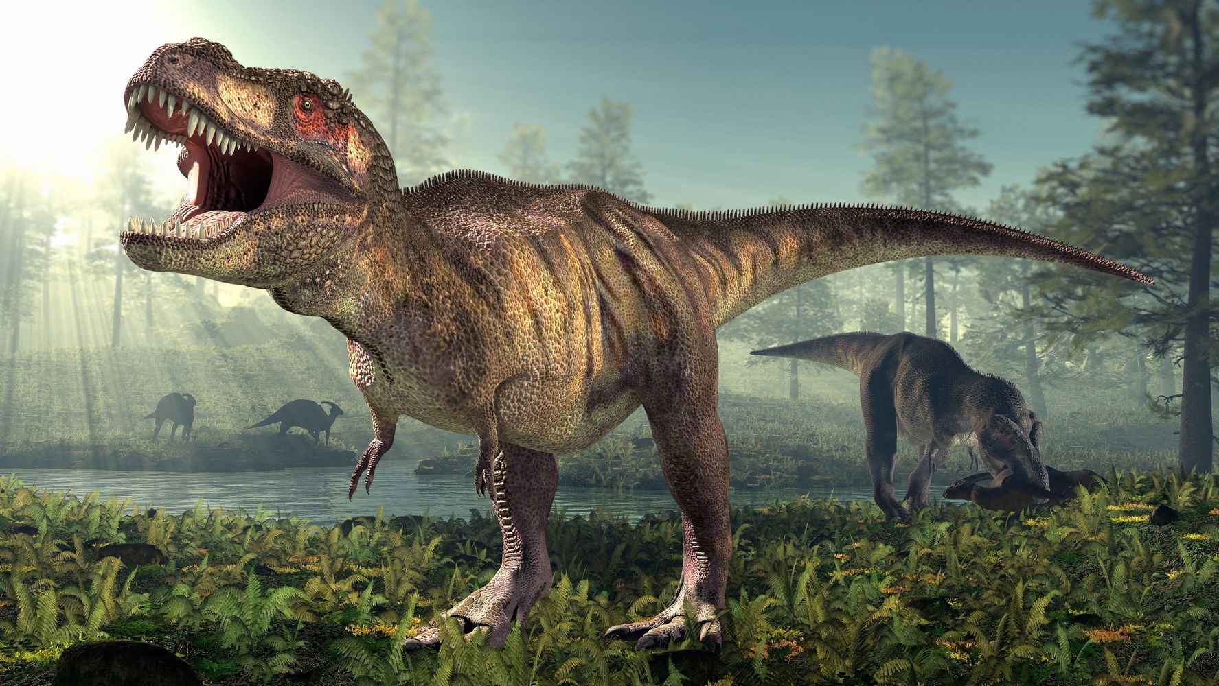 Cannibalism in Tyrannosaurus rex