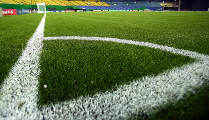 Close-up of turf in Montreal's Olympic Stadium. 