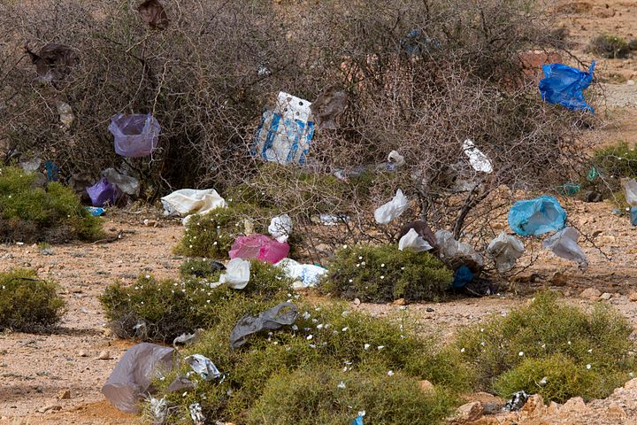 Plastic bags float around near Tafraout, located in the Anti-Atlas mountains in Morocco.