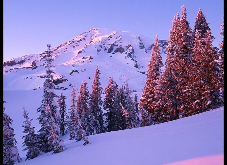 Paradise Ranger Station, Mt. Rainier, Washington