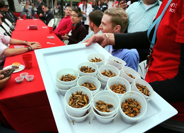 A 'pestaurant' or temporary bug restaurant, was set up in from of Faneuil Hall where people could chow down on food made with bugs.