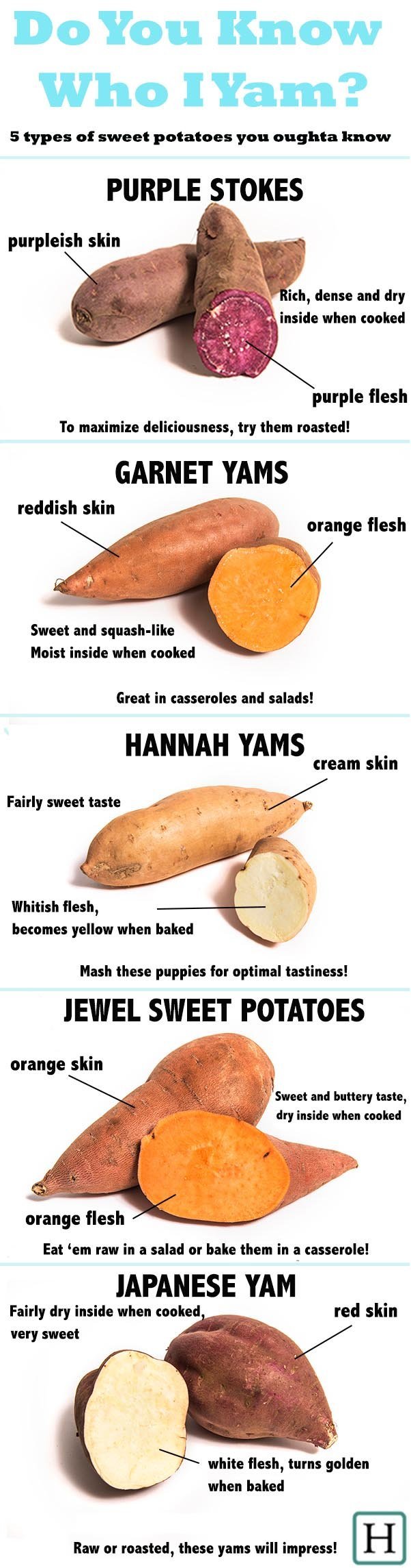 5 Special Kinds Of Sweet Potatoes And How To Eat Them HuffPost Canada   5640f28d180000a7003042ed 