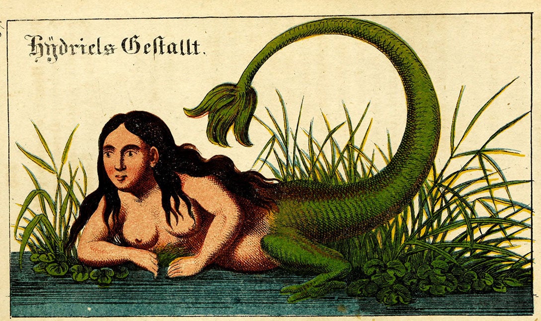 Doktor Johannes Faust, "Magica Naturalis"