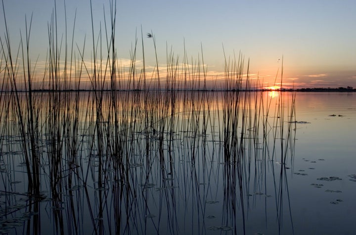 The Natural Ibera Reserve, home of a significant variety of fauna, is a natural paradise unique in its type.