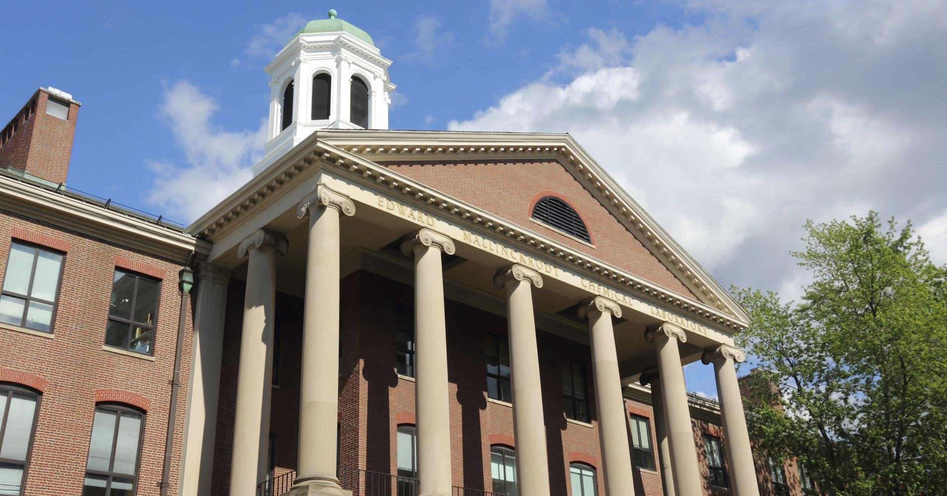 Everything You Need To Know About Harvard Sex Week S Bdsm Course Huffpost