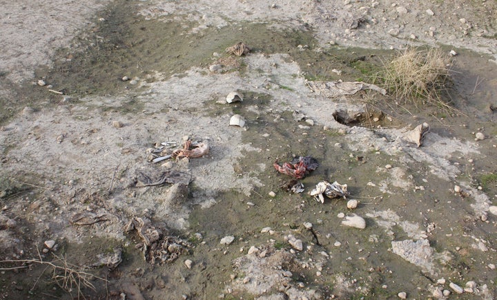 Bones, thought to be those of Yazidi women killed by ISIS, are scattered across muddy earth in Sinjar, Iraq, on Nov. 15.