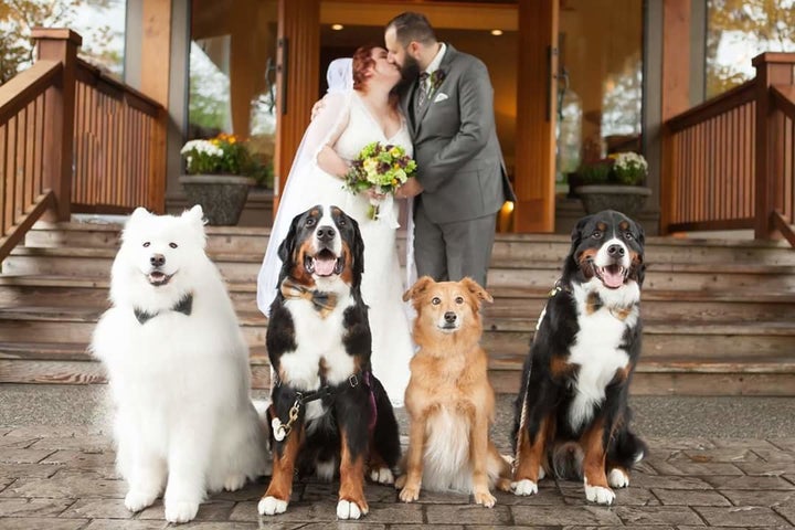 From left to right: Zero, Holden, Navi and Arbor. 