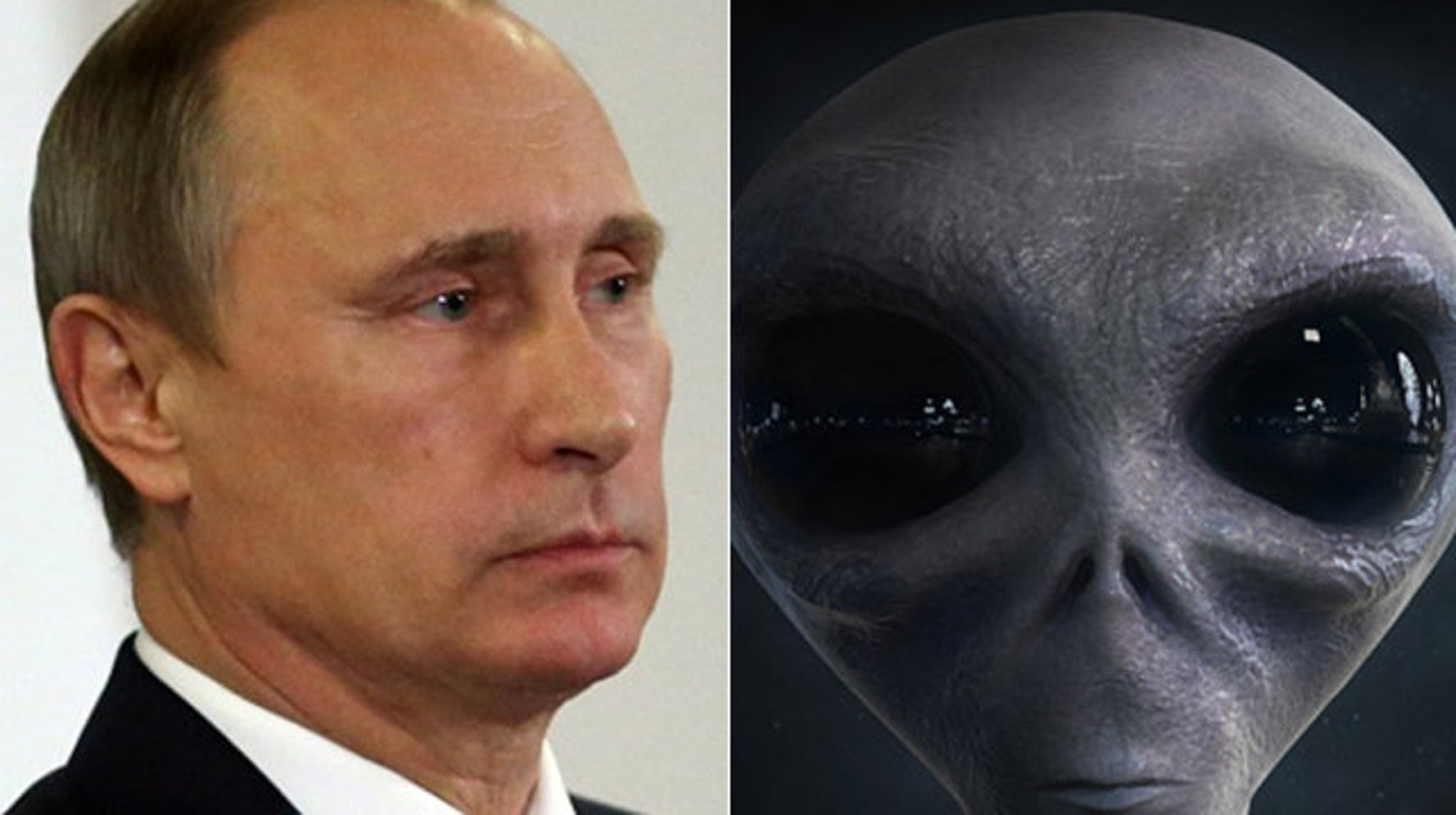 VLADIMIR PUTIN WEIRD FACTS visual data 8