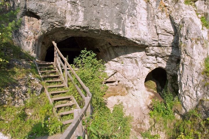 The cave where the fossils were found.