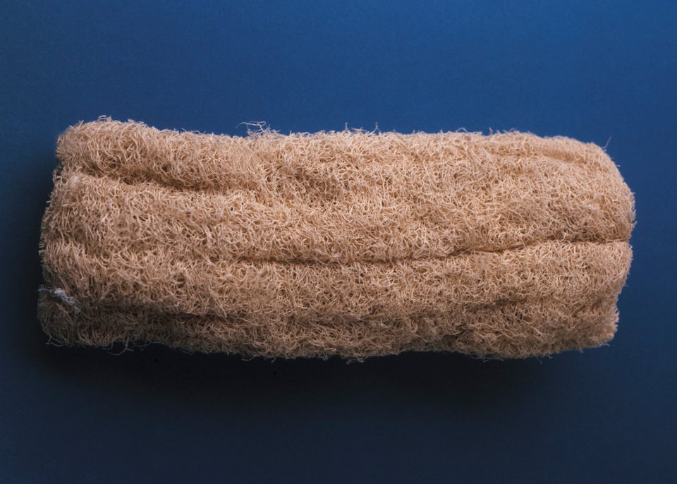 Moldy Loofah/Sponge