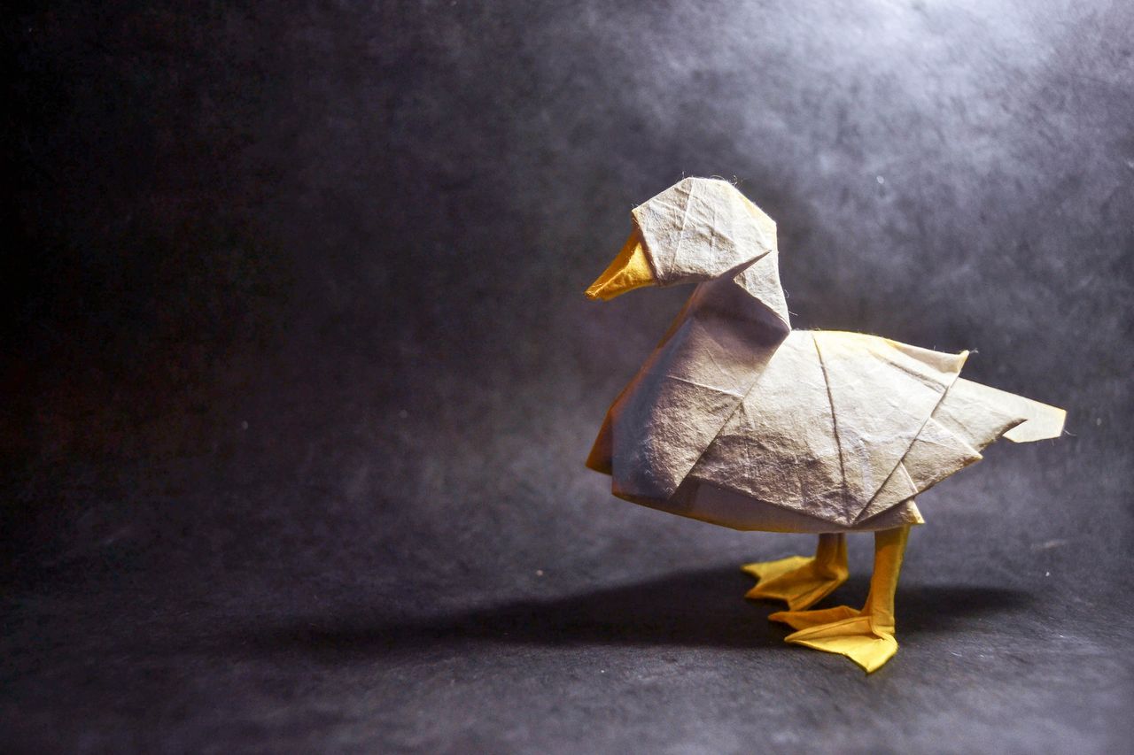Origami Duck, design by Katsuta Kyohei
