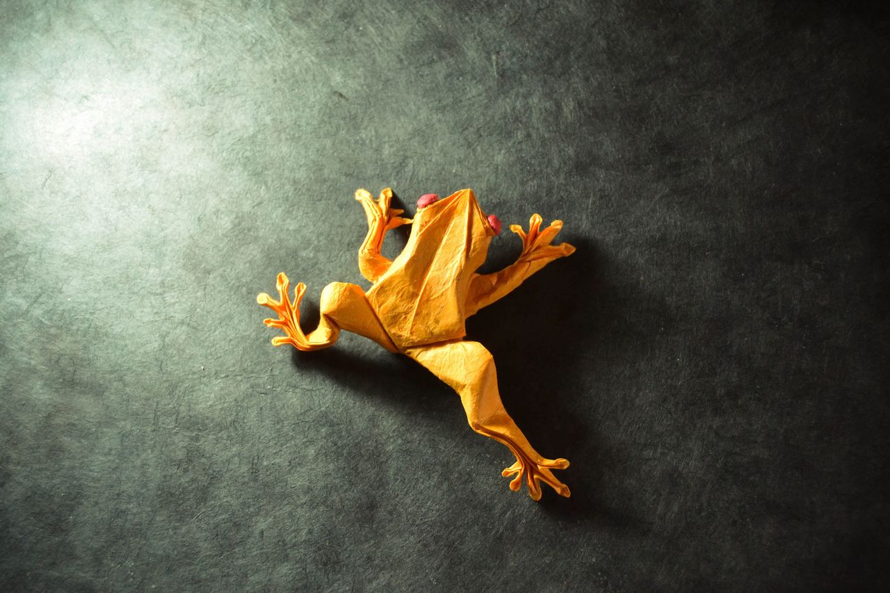Origami Tree Frog, original design by Satoshi Kamiya