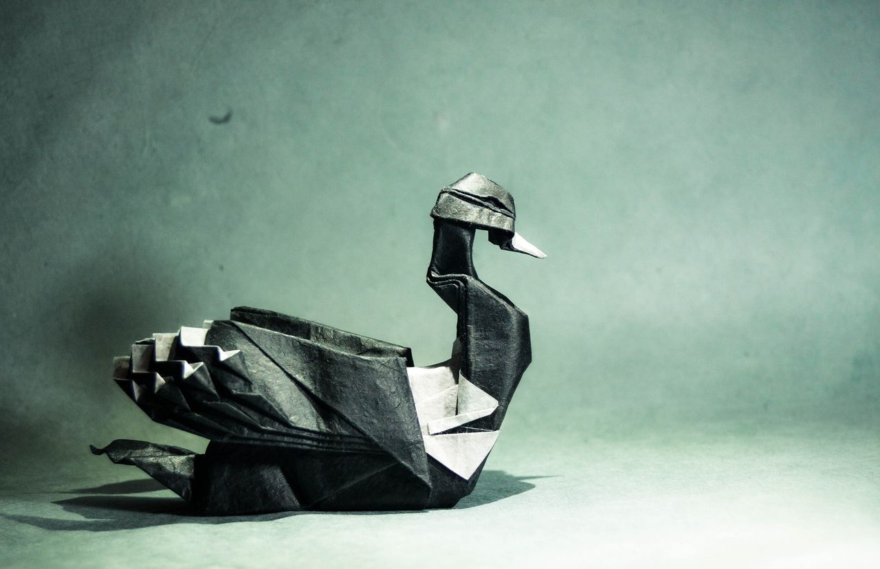 Origami Common Loon, design by Artur Biernacki