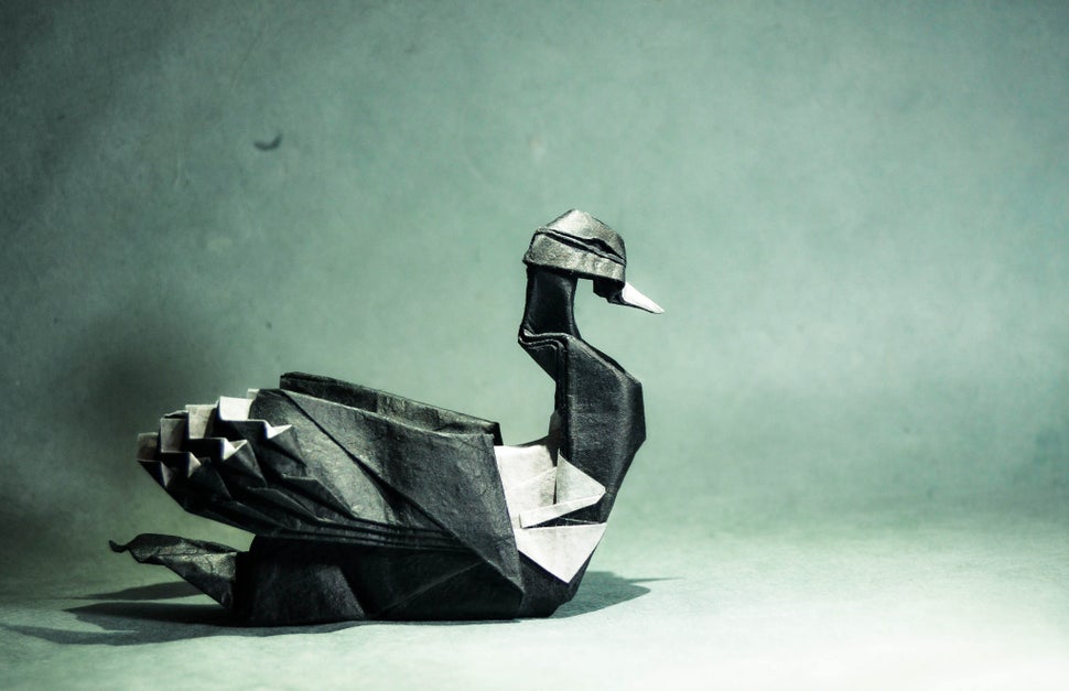 Origami Common Loon, design by Artur Biernacki