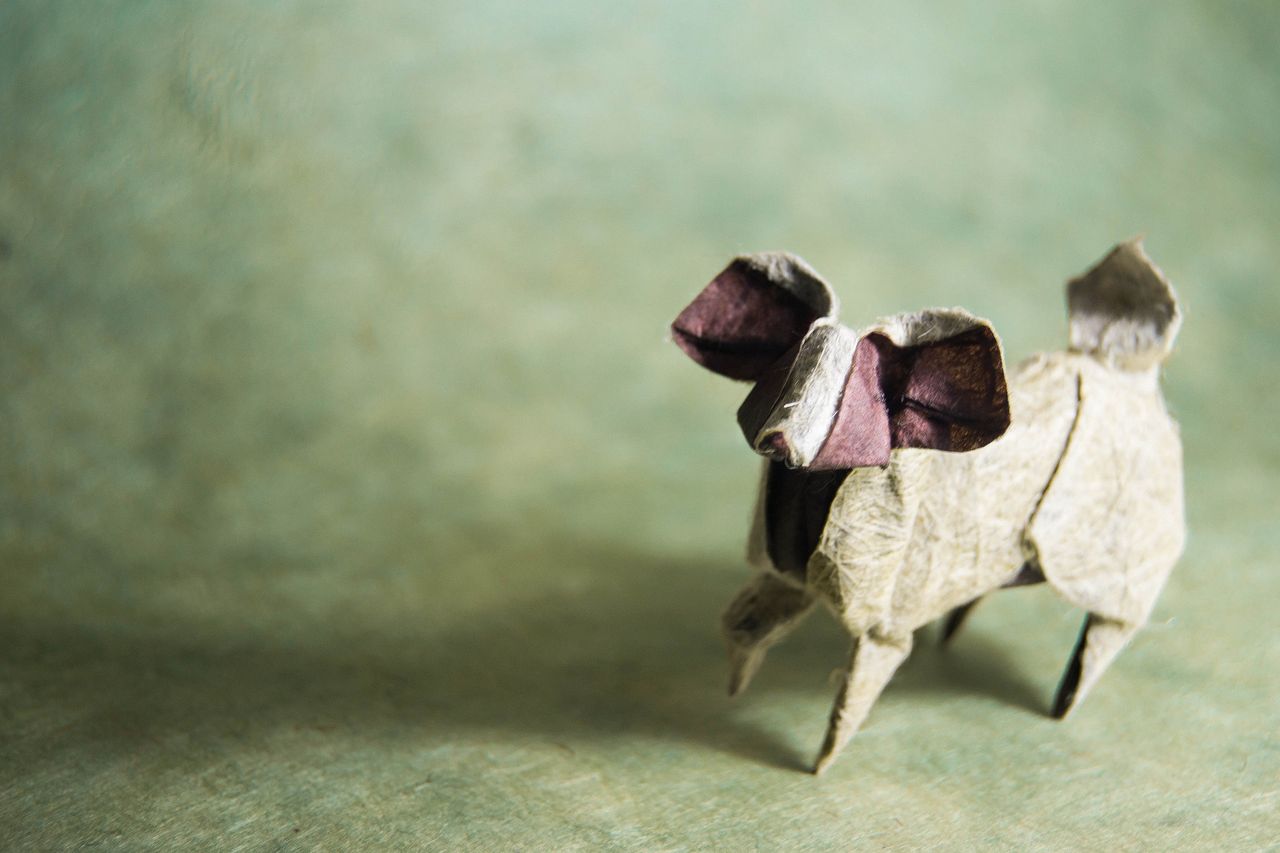 Origami Papillon Dog, design by Miyajima Noboru