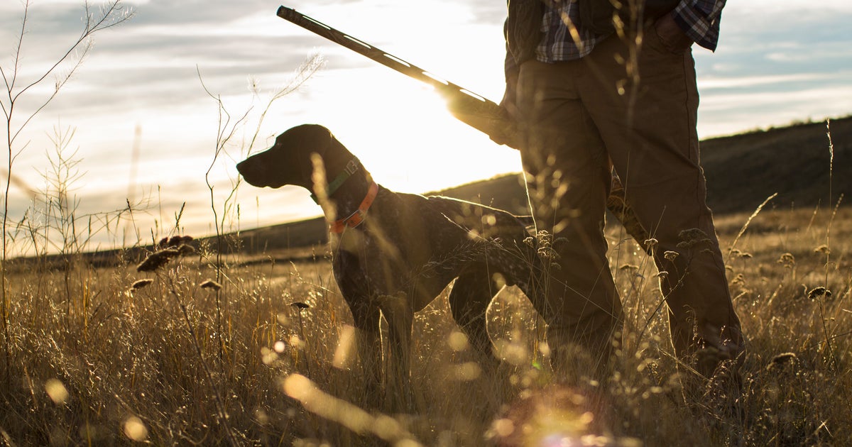 Dog Shoots Hunter In Freak Accident | HuffPost Weird News